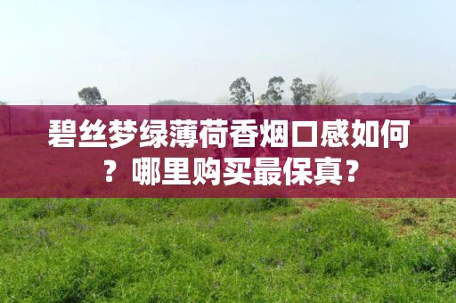 碧丝梦绿薄荷香烟口感如何？哪里购买最保真？